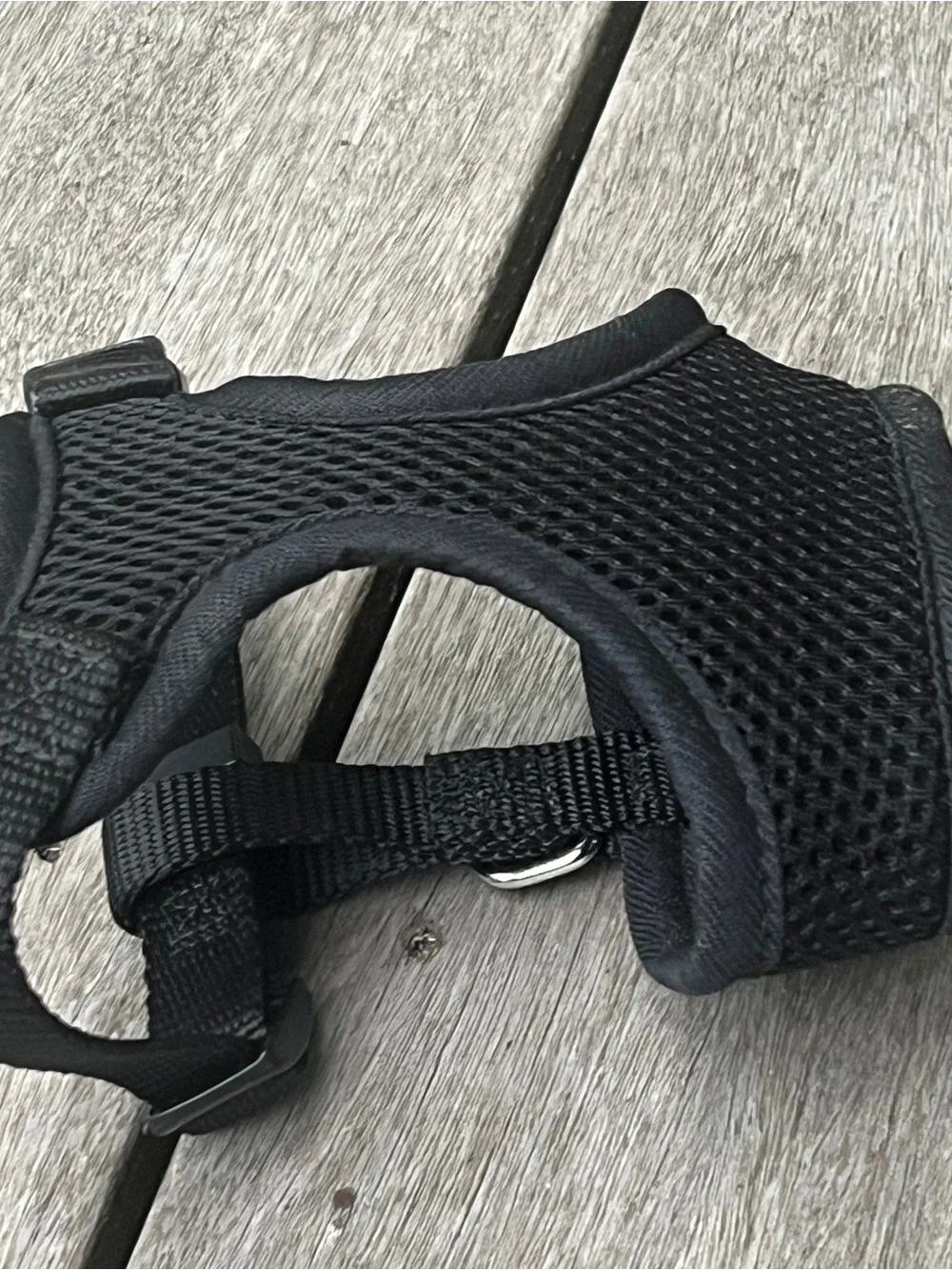 Adjustable Black Padded Dog Harness - Breathable Mesh Comfort